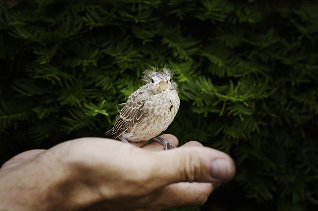 Nature tells a story
